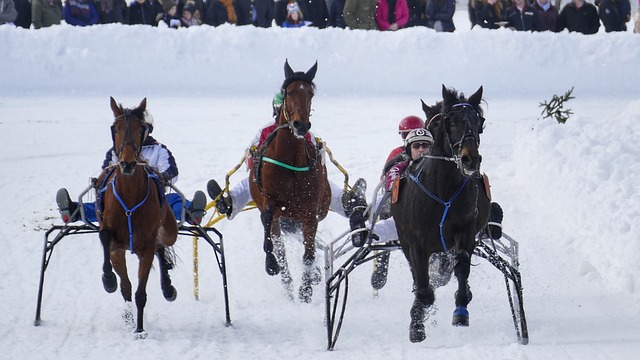 为了此次比 为了此次比