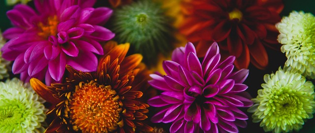 下了宝贵的 下了宝贵的