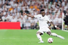 了坚实的基 了坚实的基