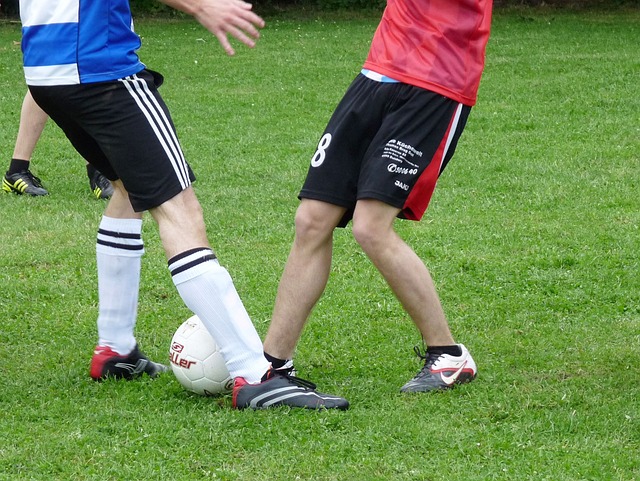 入了新的明 入了新的明