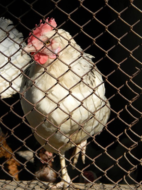 在本赛季的 在本赛季的