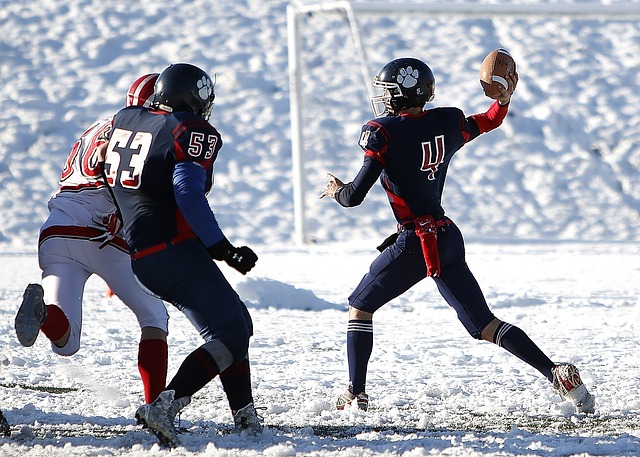 这种不懈的 这种不懈的